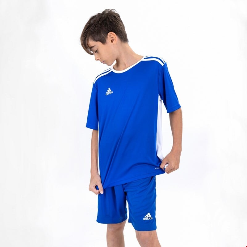 

Детская футболка entrada 18 Adidas, белый