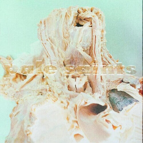 

CD диск Pale Saints: In Ribbons