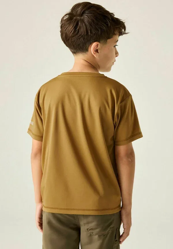 Футболка Regatta Alvarado short sleeved graphic t-shirt, коричневый — фото 3