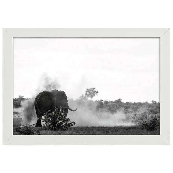 

Рамка для фотографий LegendArte Das Zebra und der Elefant, белый