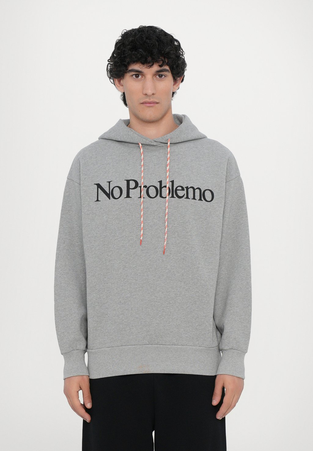 

Толстовка HOODIE - Hoodie No Problemo, серый
