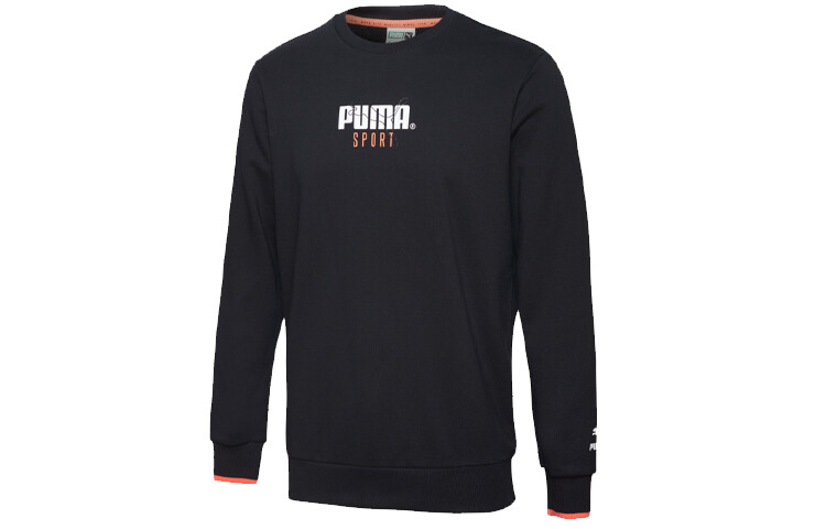 

Мужская толстовка Puma, цвет Black