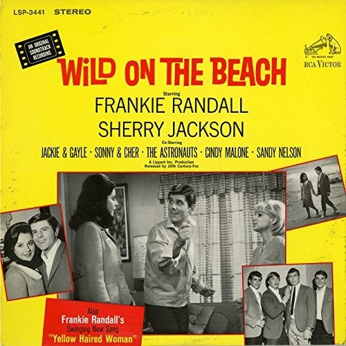 

CD диск Wild on the Beach / O.S.T.: Wild On the Beach (Original Soundtrack)