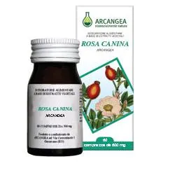 

Роза Канина 60 капсул Arcangea