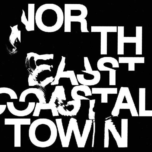 

Виниловая пластинка Life: North East Coastal Town