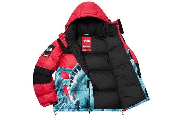 Куртка x the north face statue of liberty mountain jacket 'red' Supreme, красный — фото 3
