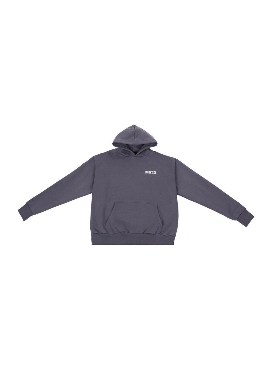 

Толстовка Dropsize Wire Dove, цвет Light grey/Dark grey