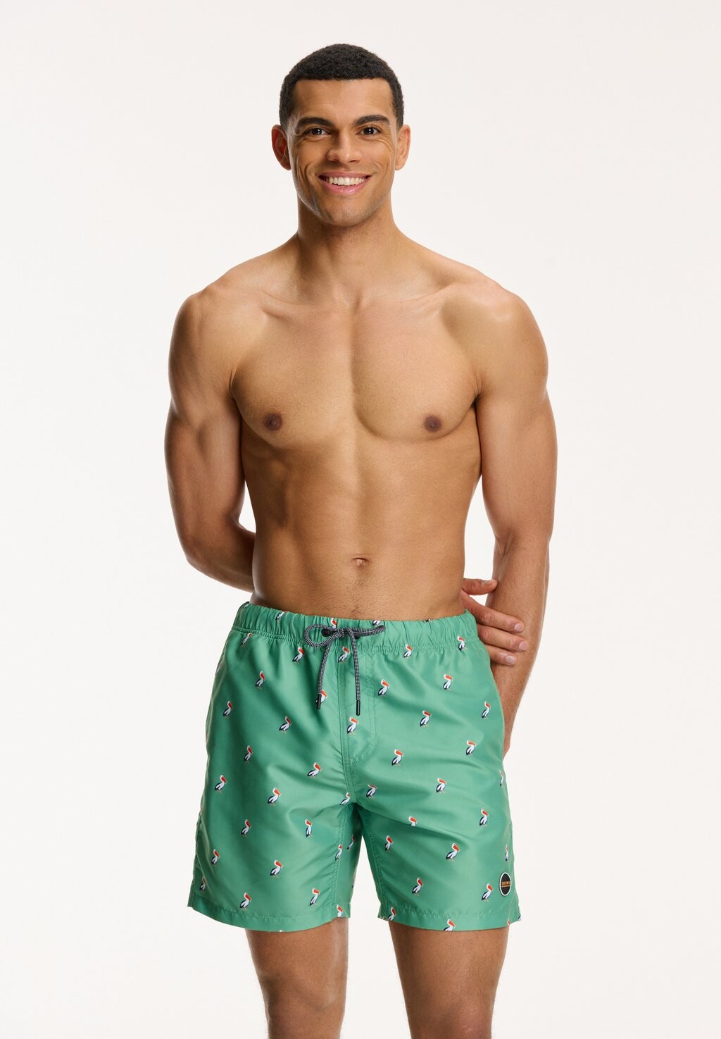 

Шорты для плавания Regular Fit Pelican Shiwi, шалфейно-зеленые