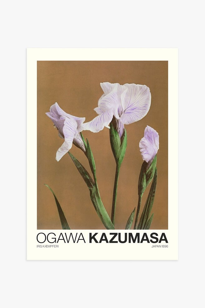 

Iris kæmpferi от плаката kazumasa Postery, 30x40 см, зеленый