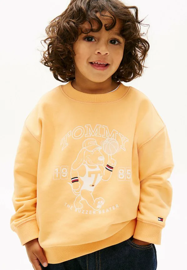 Толстовка с графическим логотипом из махровой ткани Tommy Hilfiger, Faded Sun Kiss — фото 2