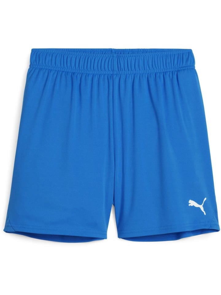 

Спортивные шорты TeamGoal Shorts Wmns синего цвета Puma