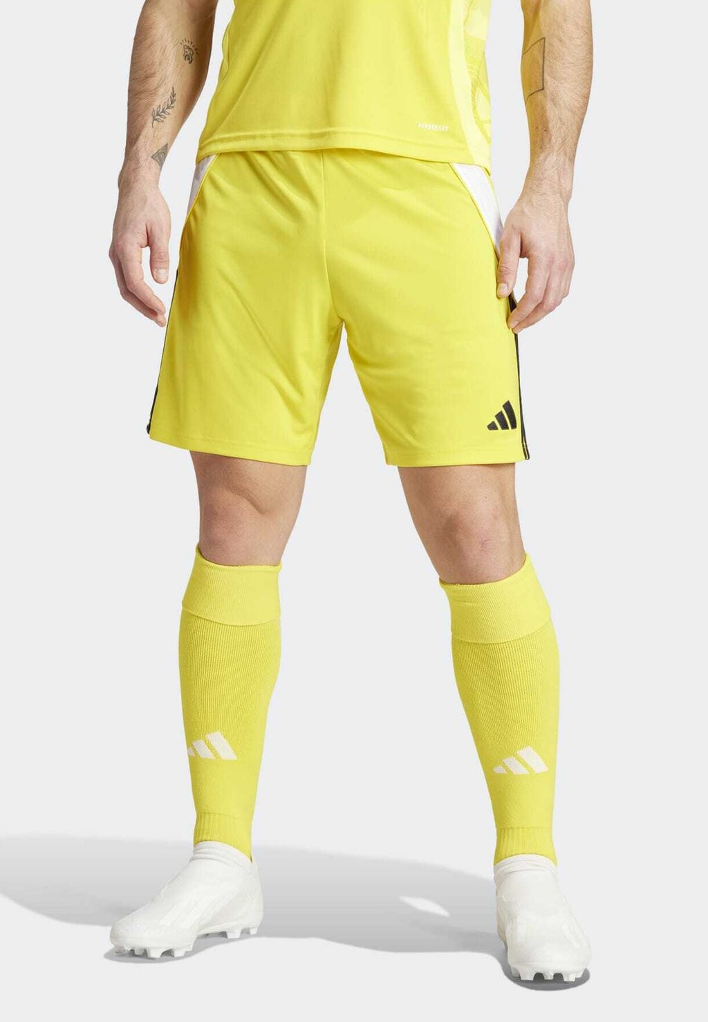 

Спортивные шорты TIRO24 SHORT adidas Performance, цвет team yellow/black