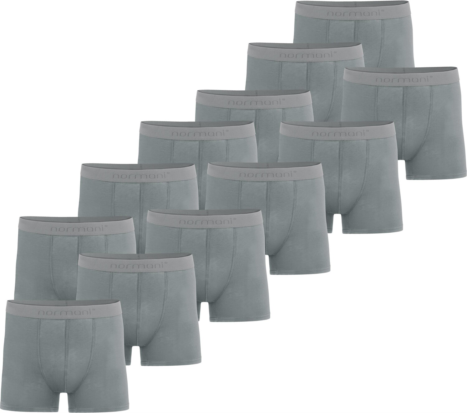 

Боксеры normani 12 Herren Bambus-Boxershorts, антрацит