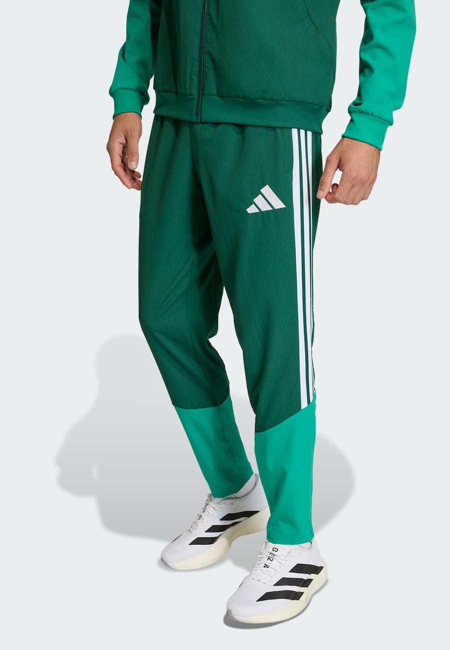 Обычные спортивные штаны ADIDAS PERFORMANCE Algerien 26, изумрудный/темно-зеленый — фото 2
