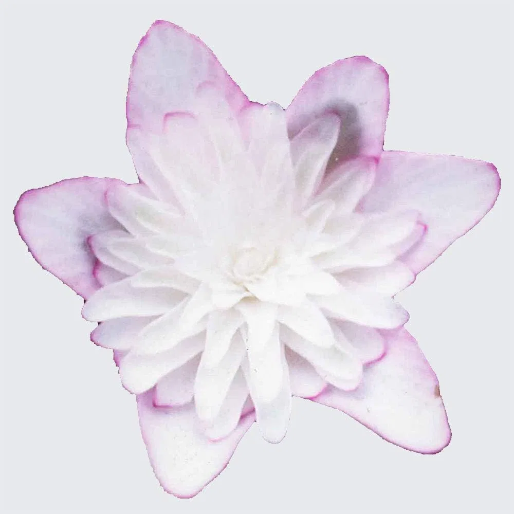 Губная помада Yukiwariso Lipstick, Momochigesaki, Iwasaki Iwasaki Horticulture