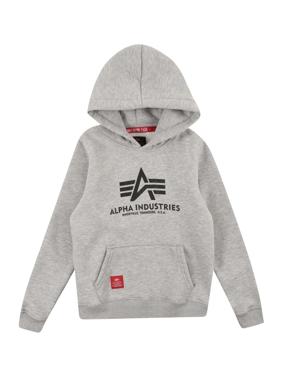 

Толстовка ALPHA INDUSTRIES, пятнистый серый