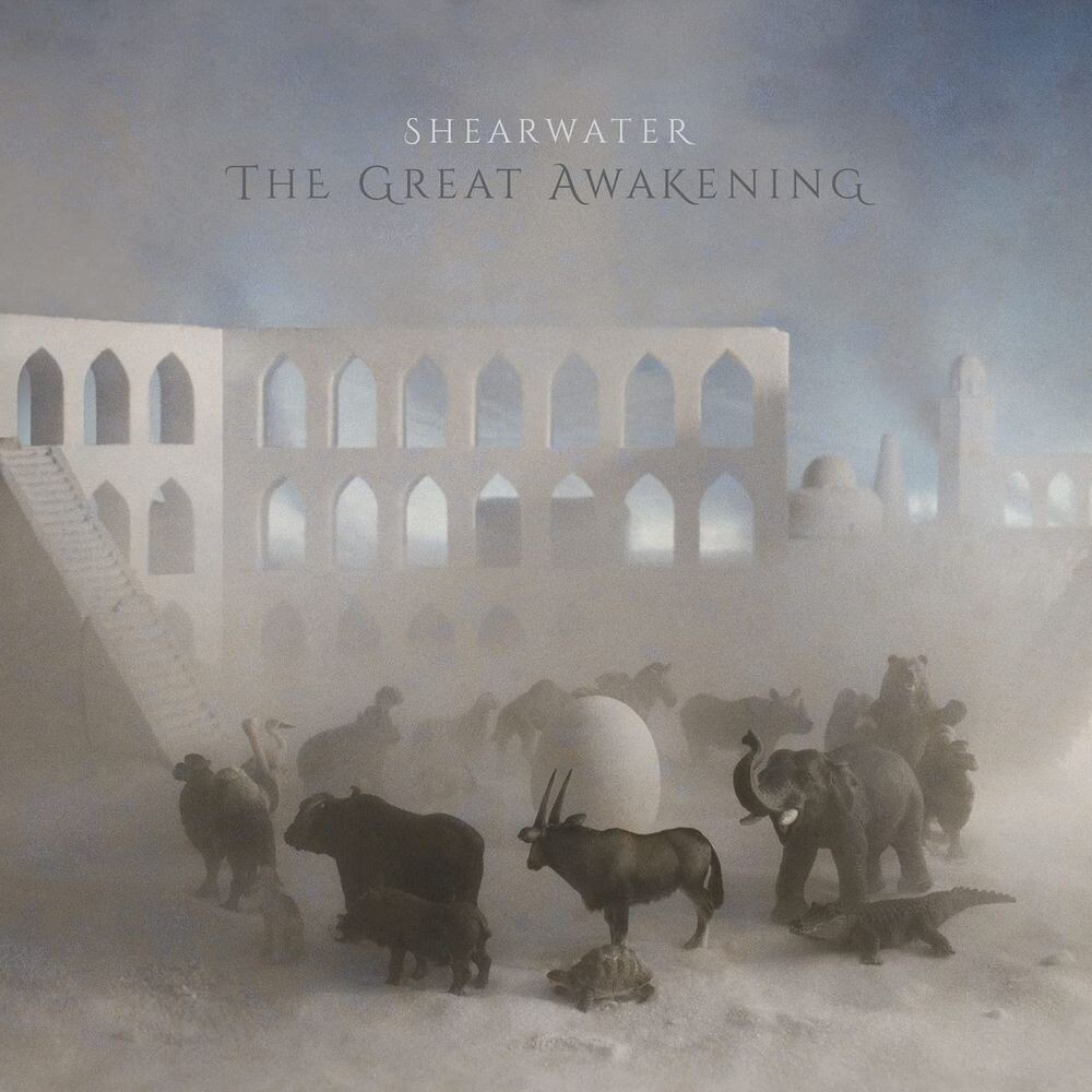 

Виниловая пластинка LP The Great Awakening - Shearwater