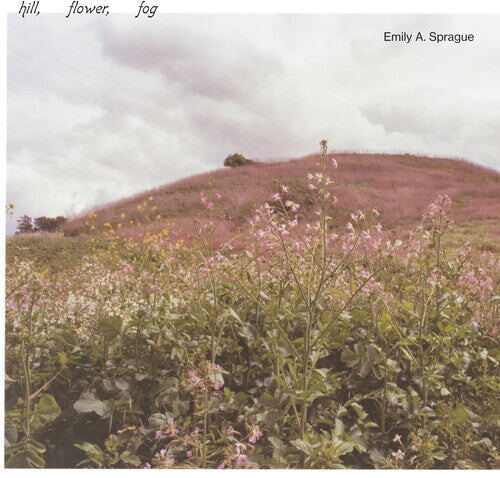 

Виниловая пластинка Sprague, Emily a: Hill, Flower, Fog
