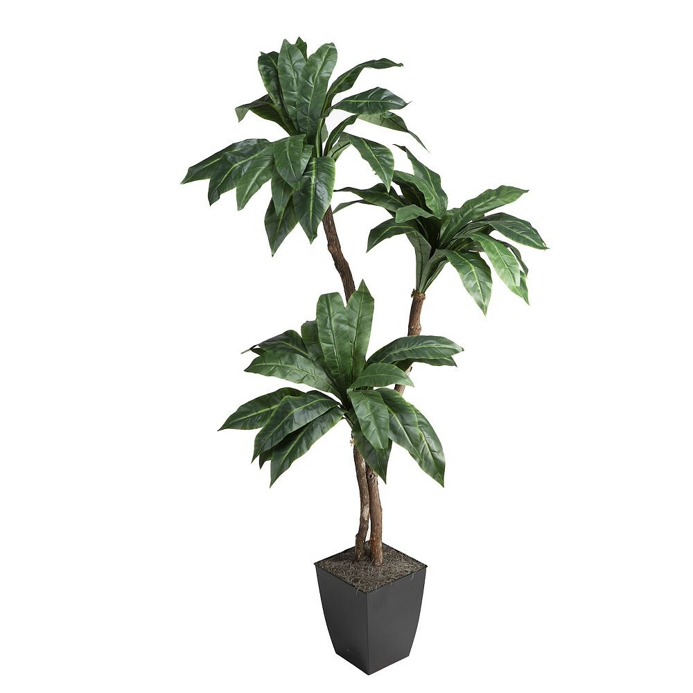 

Birdnest Palm в черном цветочном горшке D&W Silks, зеленый