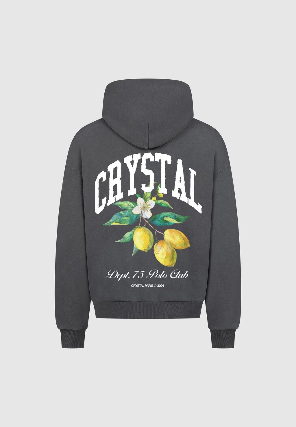

Толстовка с капюшоном CLUB CRYSTAL PARIS, темно-серый