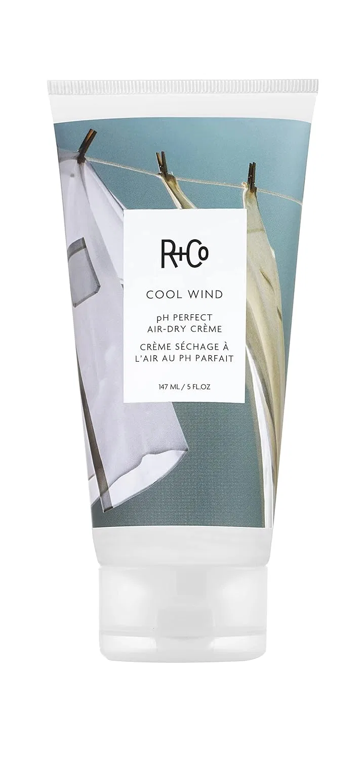 Крем для сушки волос на воздухе «Cool Wind pH Perfect Air Dry Cream» от R+Co R+Co