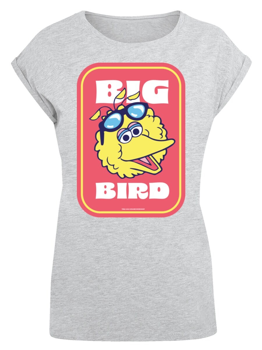 

Футболка F4NT4STIC Shirt Sesame Street, пятнистый серый