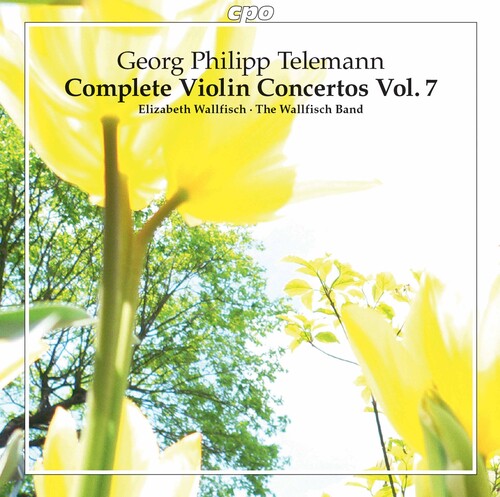 

CD диск Telemann / Wallfisch Band: Complete Violin Concertos 7