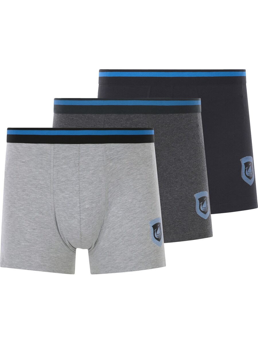 

Боксеры Jan Vanderstorm Veljor , Light grey/Dark grey/Black