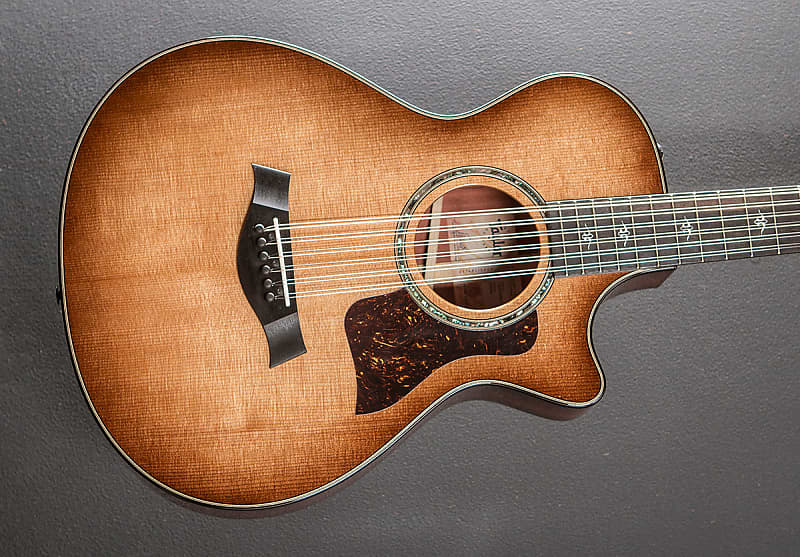 

Акустическая гитара Taylor 552CE 12 String