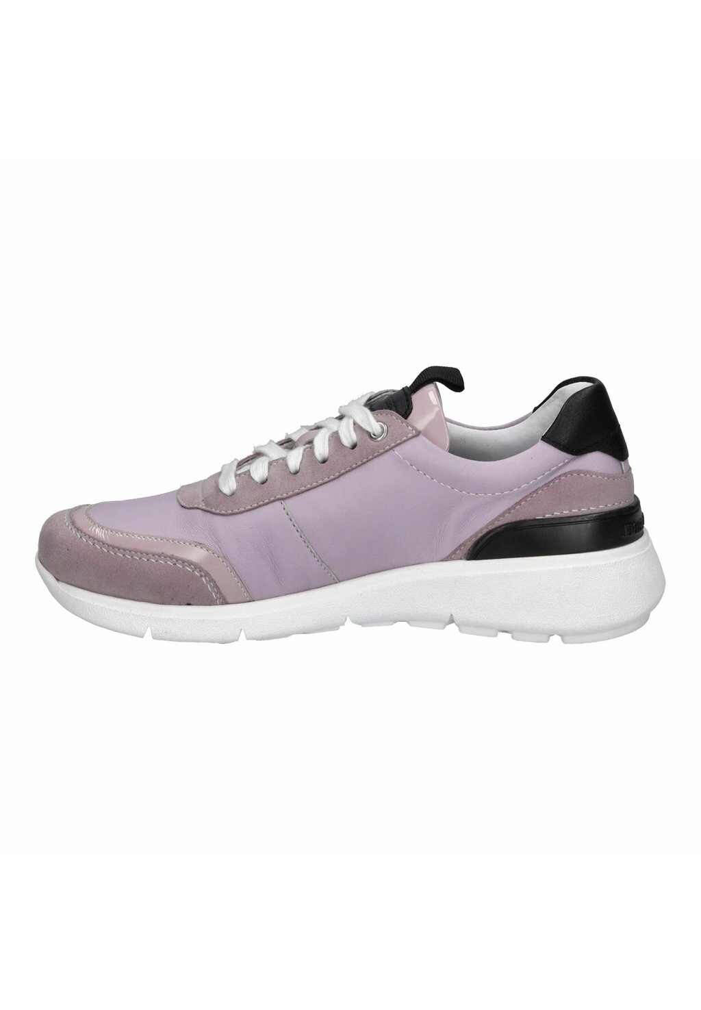 Кроссовки низкие GIULIETTA 01 Josef Seibel, цвет viola multi