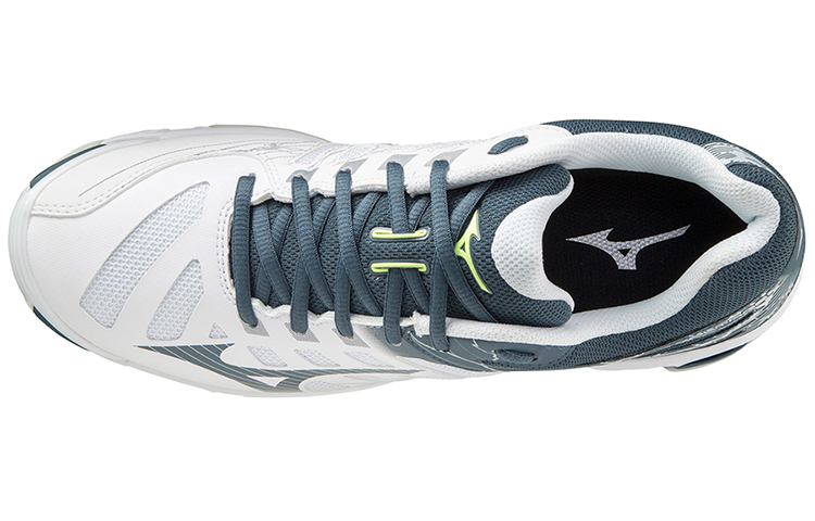 

Кроссовки Mizuno Wave Voltage 'White Grey'