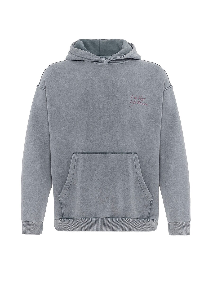 

Толстовка VAMOS CLO, светло-серый