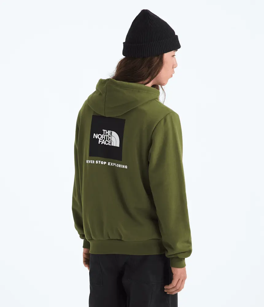 

Мужская толстовка с капюшоном Evolution Box NSE The North Face, Woodland Green