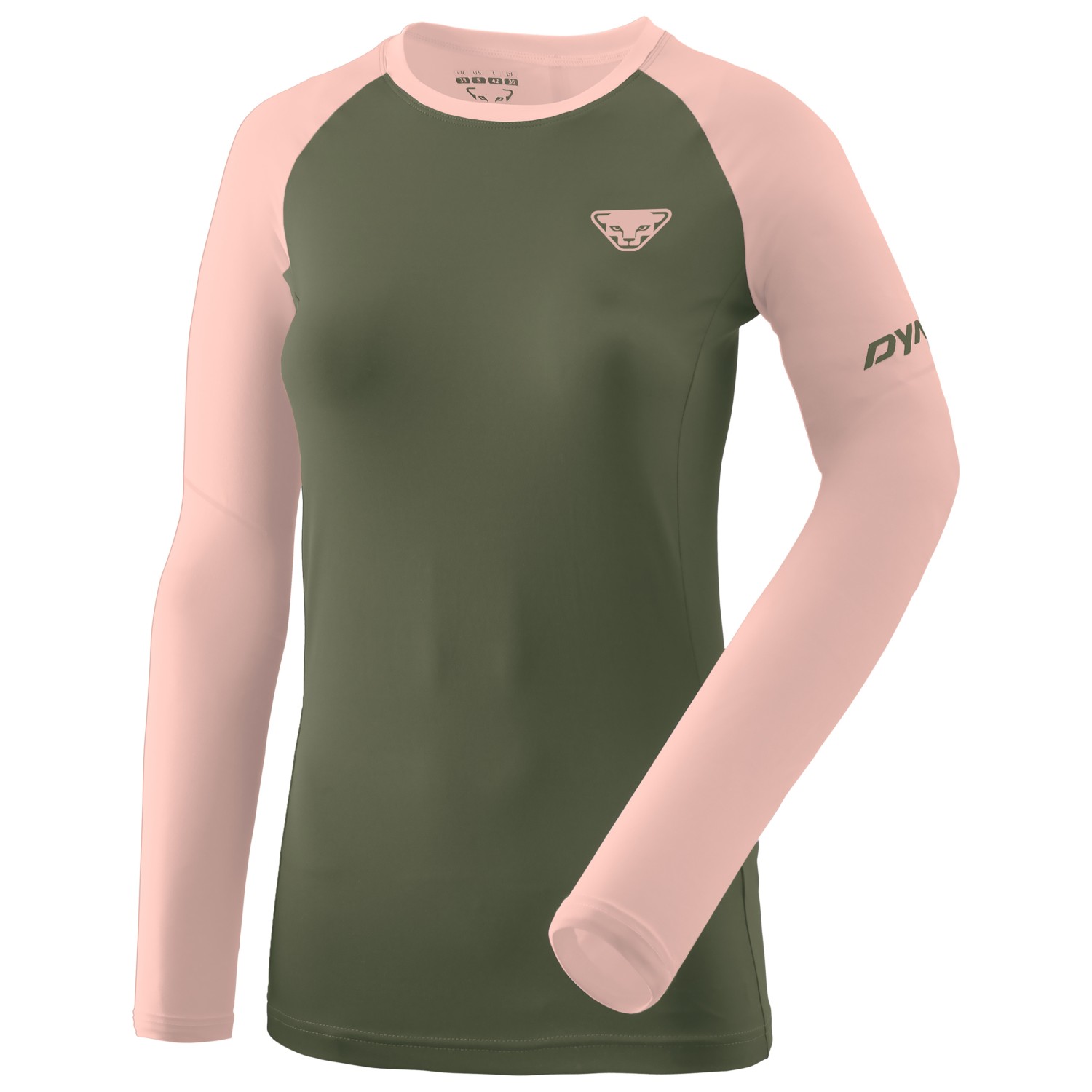 

Беговая рубашка Dynafit Women's Alpine Pro L/S Tee, цвет Thyme/6370