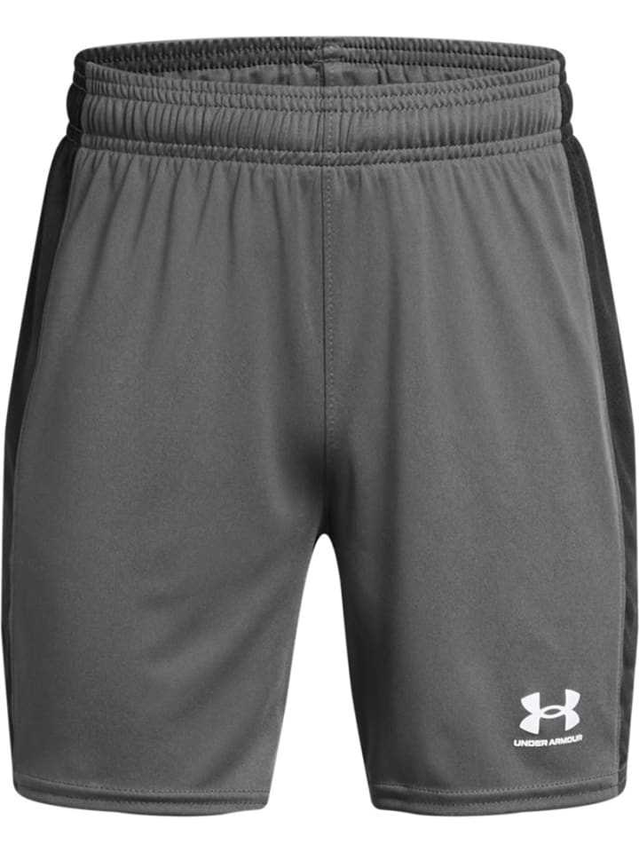

Шорты Under Armour, серый