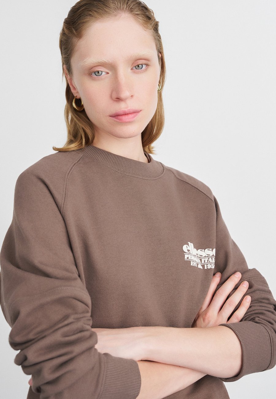 

Толстовка Ellesse BENOLLI, Brown