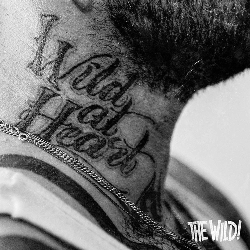 

Виниловая пластинка LP Wild At Heart - The Wild