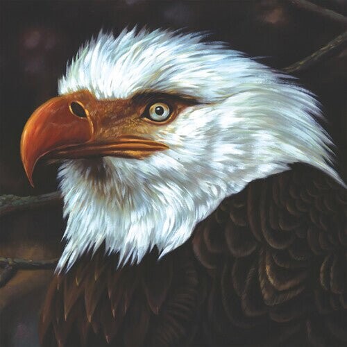 

Виниловая пластинка Mogwai - Hawk Is Howling