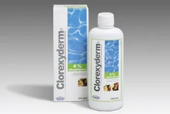 Шампунь «Clorexyderm 4%» Animedica