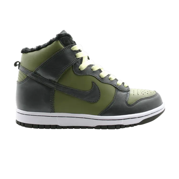 Кроссовки Nike Wmns Dunk Hi