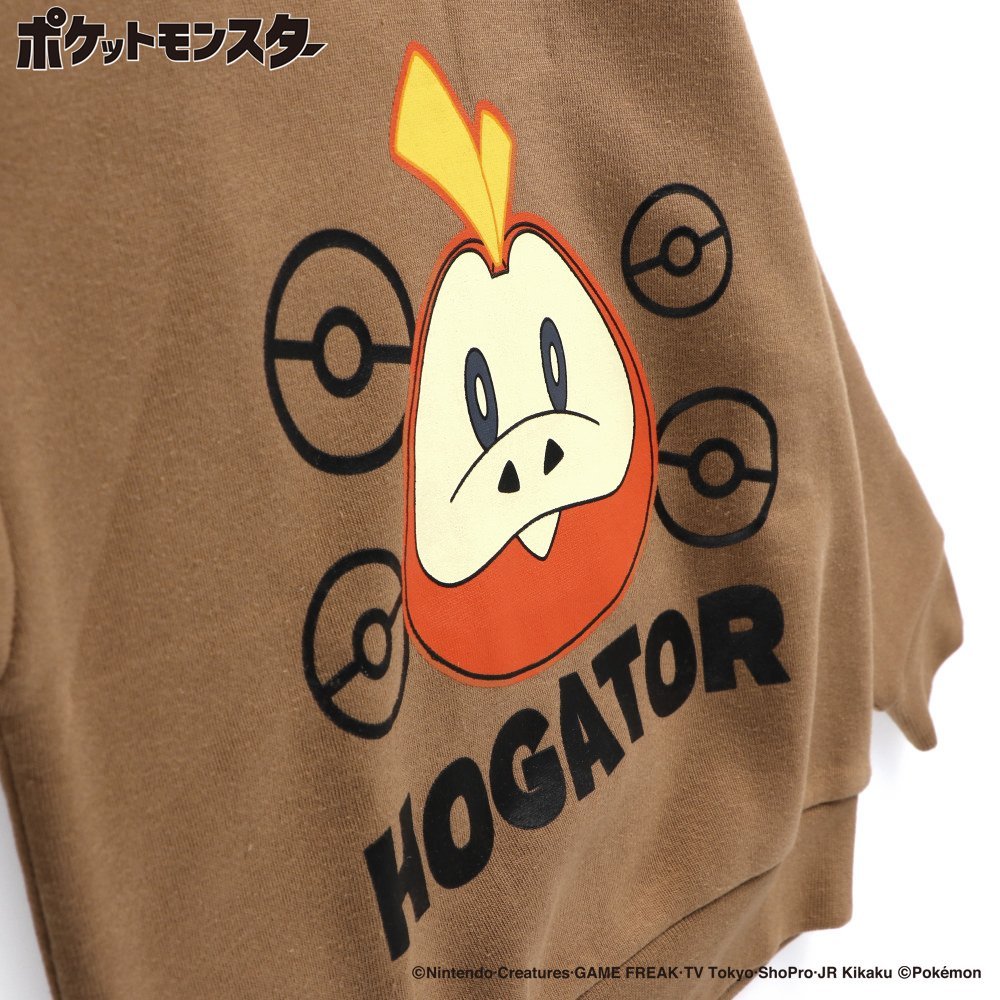 Толстовка на флисовой подкладке Branshes, 64 Brown_Hogeta