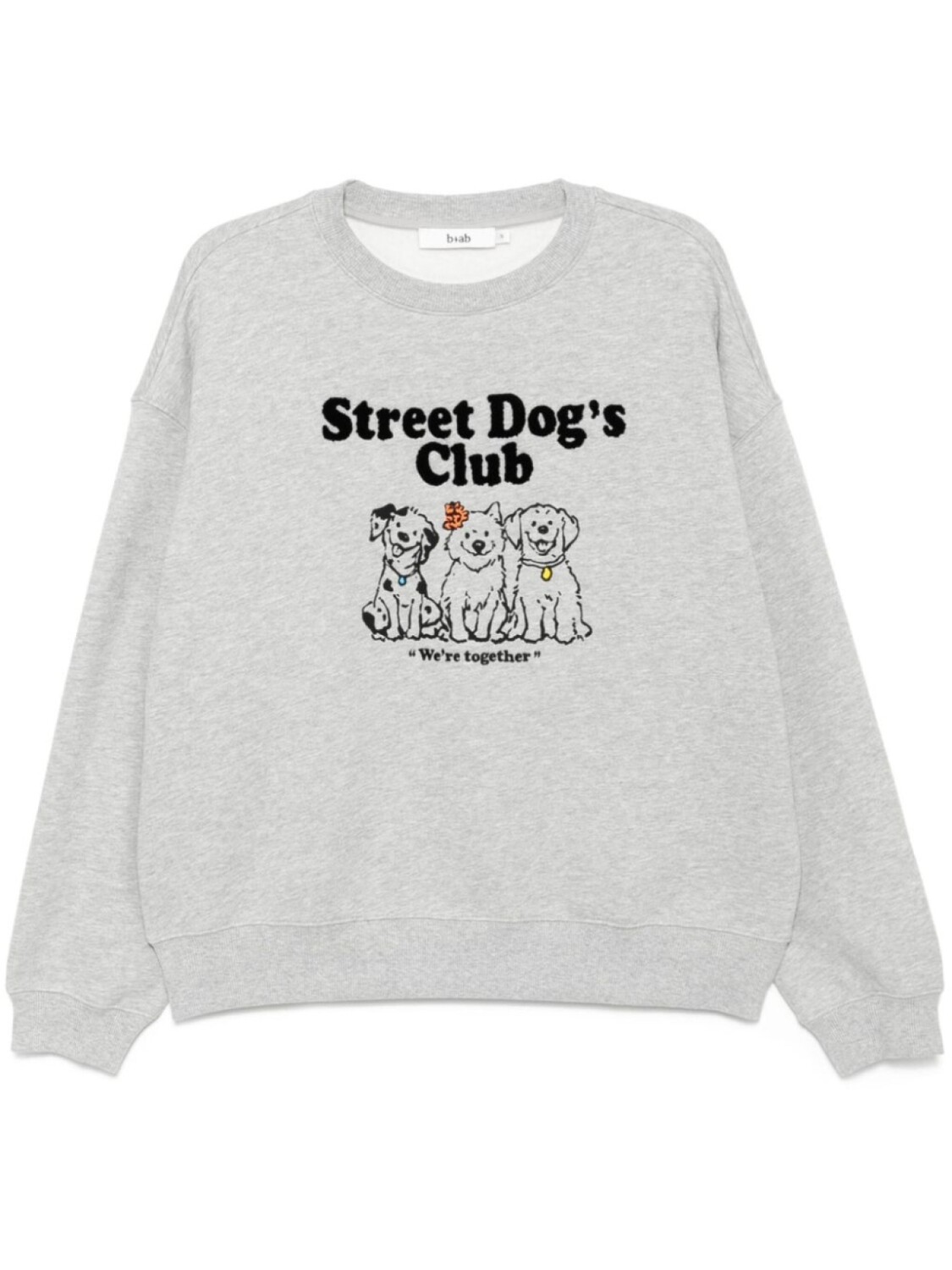 

Толстовка Street Dog's Club B+ab, серый