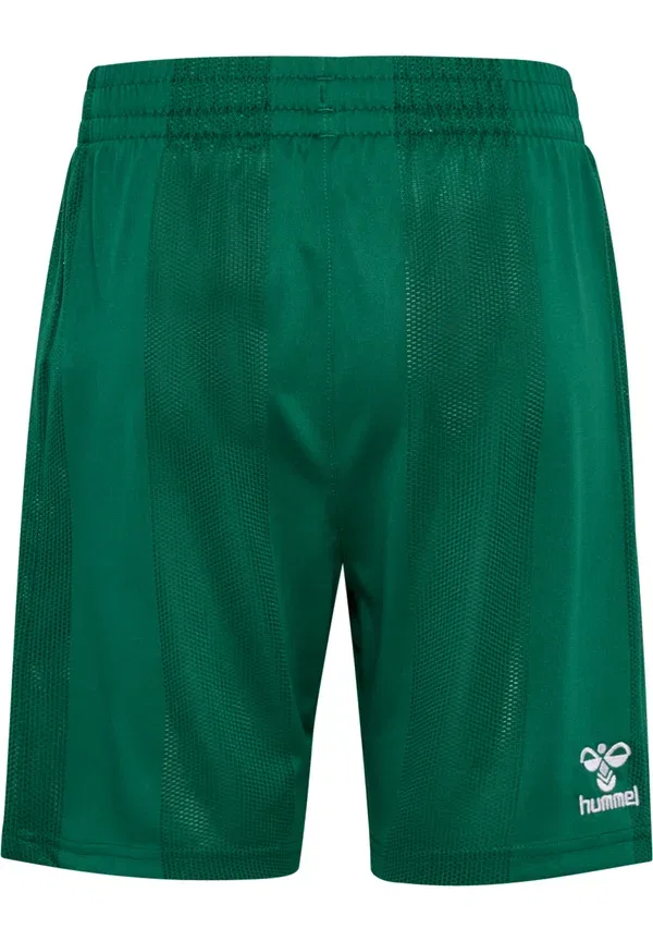 Шорты спортивные детские Hummel Dbu 26 gk shorts kids sports shorts, вечнозеленый — фото 2