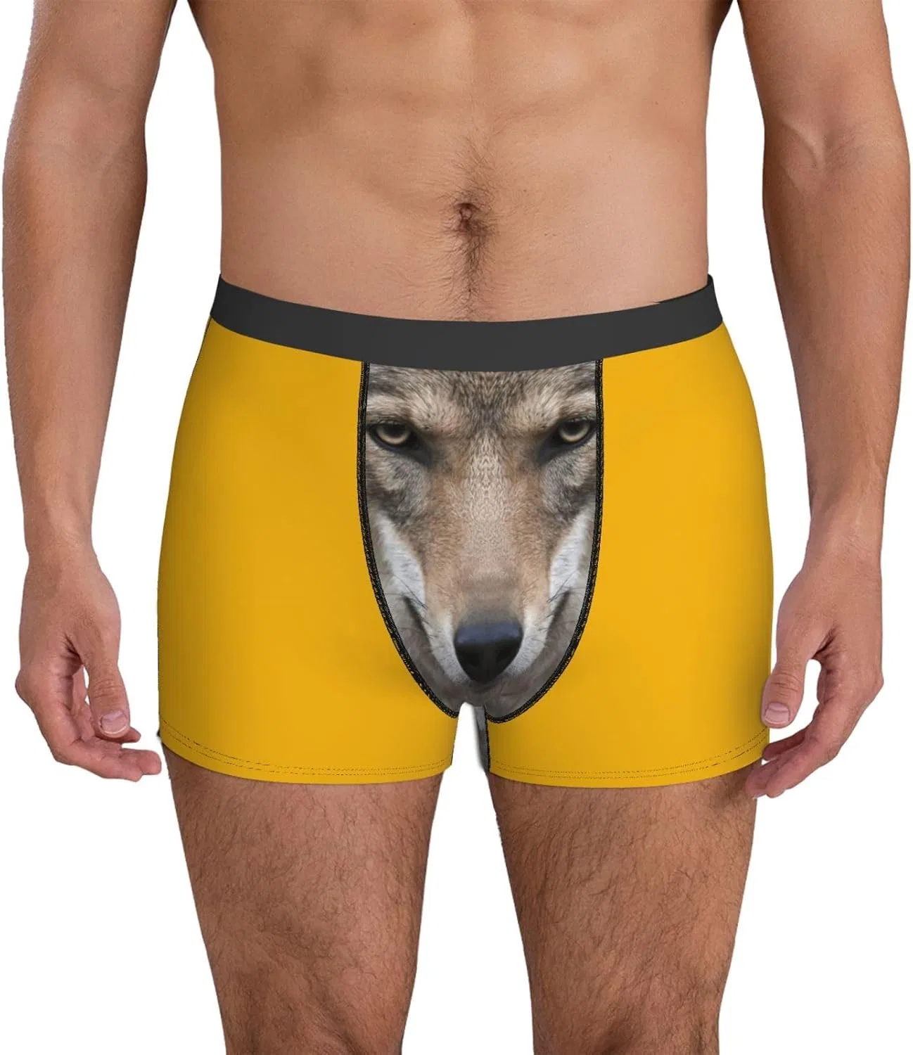 Боксеры Wolf, Wolf 4