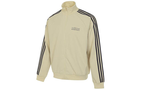 Куртка баскетбольные выберите куртку азия размеры Adidas, бежевый — фото 2