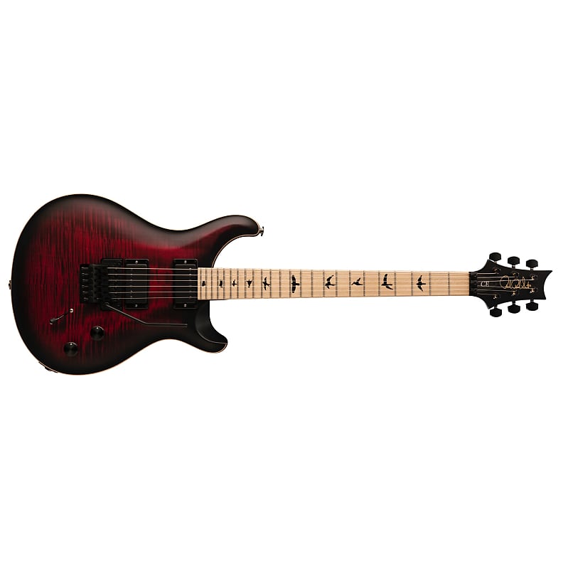 

Электрогитара PRS Paul Reed Smith DW CE 24 Floyd Electric Guitar Waring Burst + PRS GIG Bag BRAND NEW