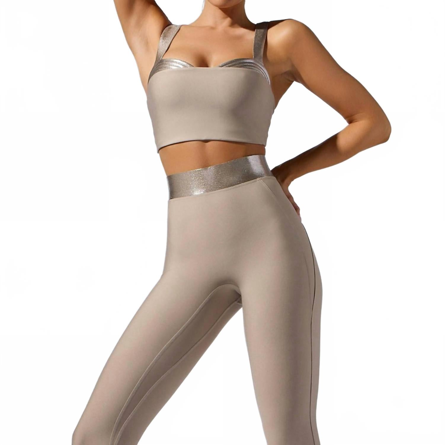 

Спортивный бюстгальтер Lina Bra In серо-коричневый Heroine Sport, серо-коричневый