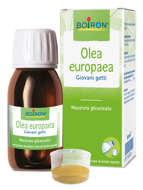 

Boiron Olea Europaea Young Jets Растительные экстракты, 60 мл