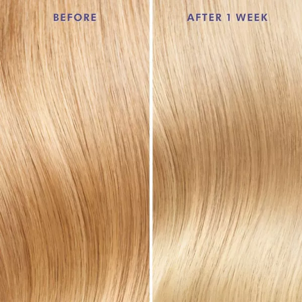 Лечебное фиолетовое масло для светлых волос Moroccanoil, объем 49 мл — фото 2