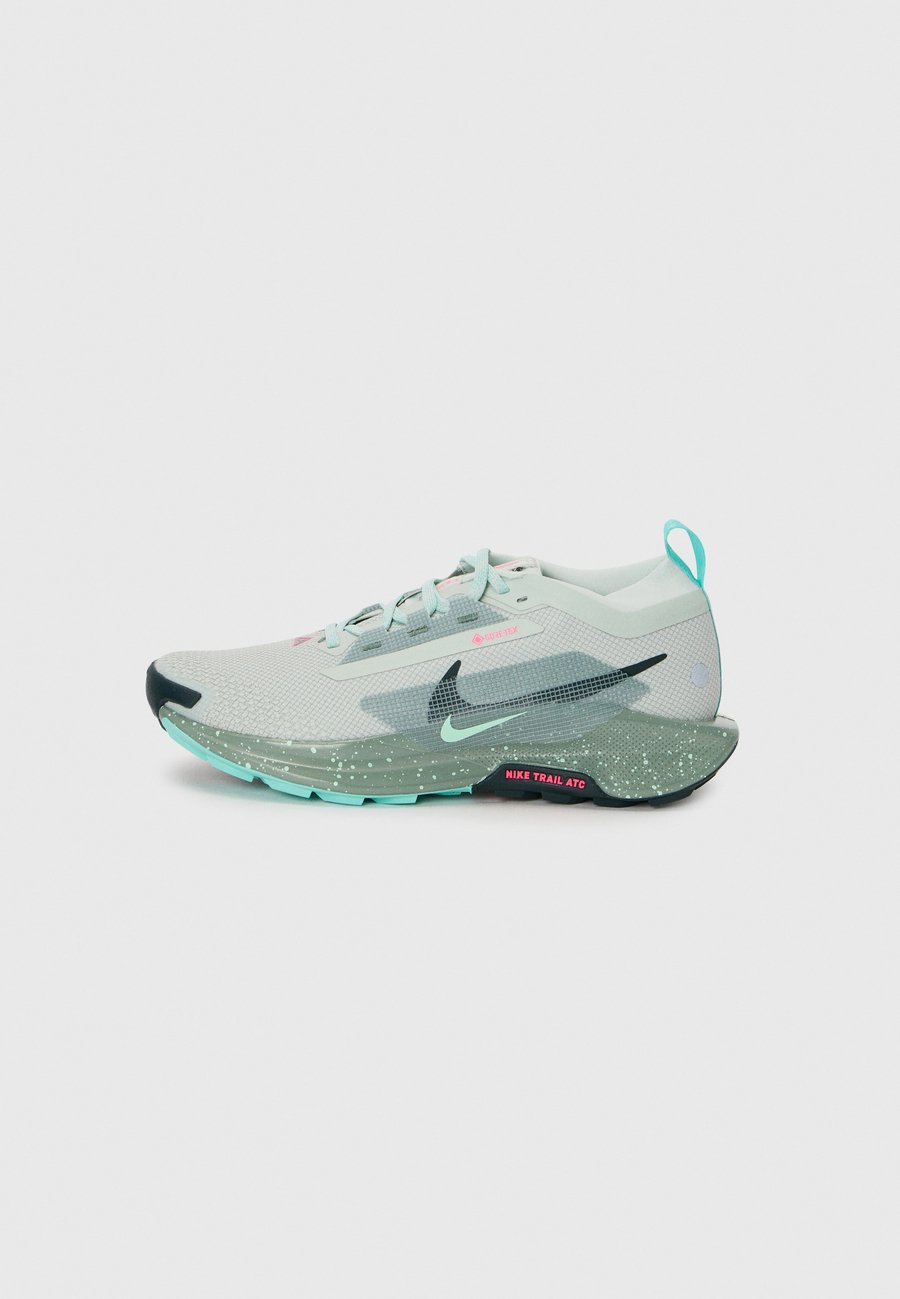 

Кроссовки Nike Performance REACTX PEGASUS 5 GTX, Silver-Coloured/Seaweed/Clay Green/Mint Fam/Hyper Pink/Silver-Coloured